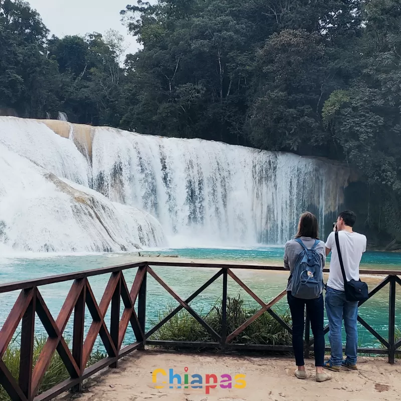 Zona Arqueologica de Palenque, Cascadas de Agua Azul y Misol-Ha