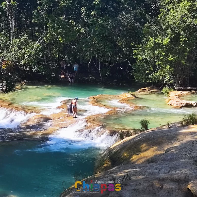 Zona Arqueológica de Palenque y Cascada Roberto Barrios