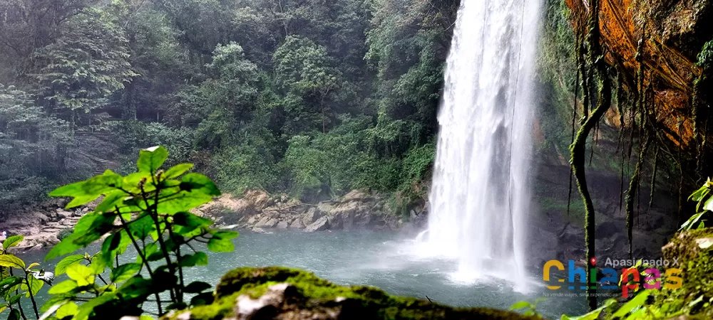 Misol-Ha y Agua Azul