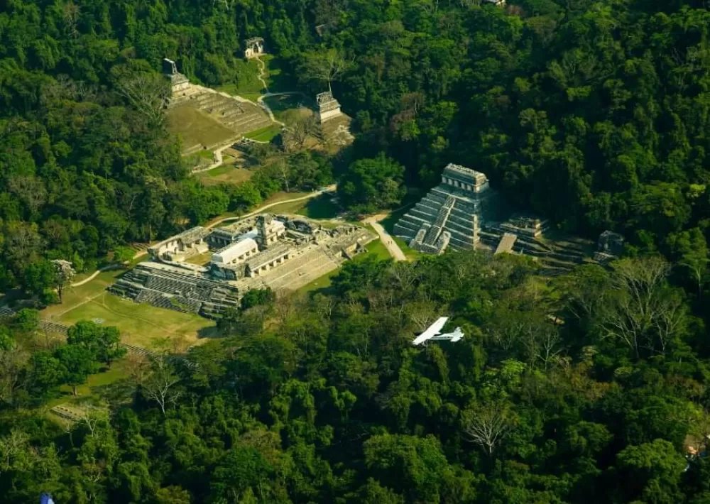 Palenque en Apasionado x Chiapas Tours & Travel Palenque en Apasionado x Chiapas Tours & Travel