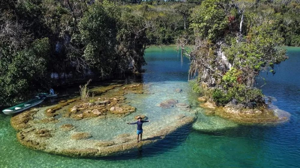 Chiapas selvático: Laguna Miramar y su exuberante entorno natural