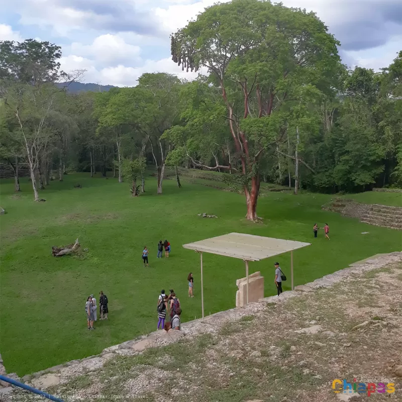 Explorando la riqueza histórica: Bonampak en el corazón de la selva