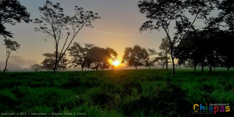 Agradecer en laguna miramar