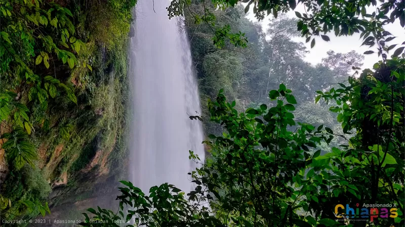 cascada de misol-ha bajo en agua