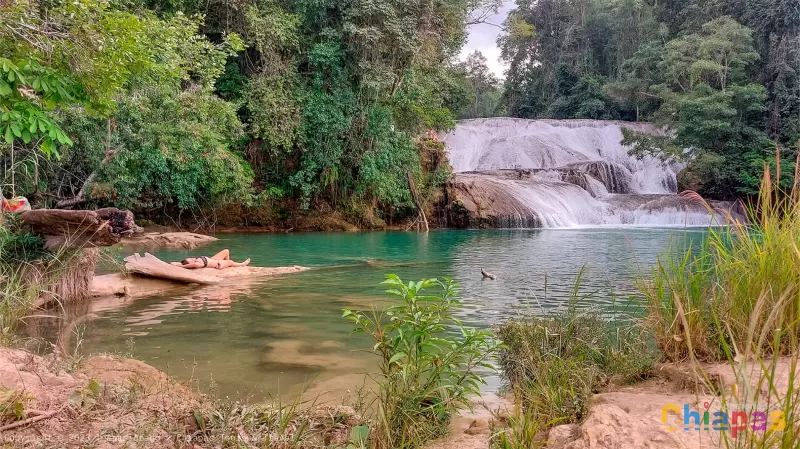 Cascada de Roberto Barrios en Apasionado x Chiapas Tours & Travel Cascada de Roberto Barrios en Apasionado x Chiapas Tours & Travel