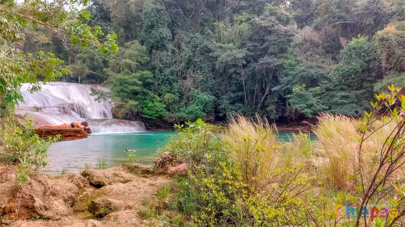 Paisaje de las cascadas de roberto barrios