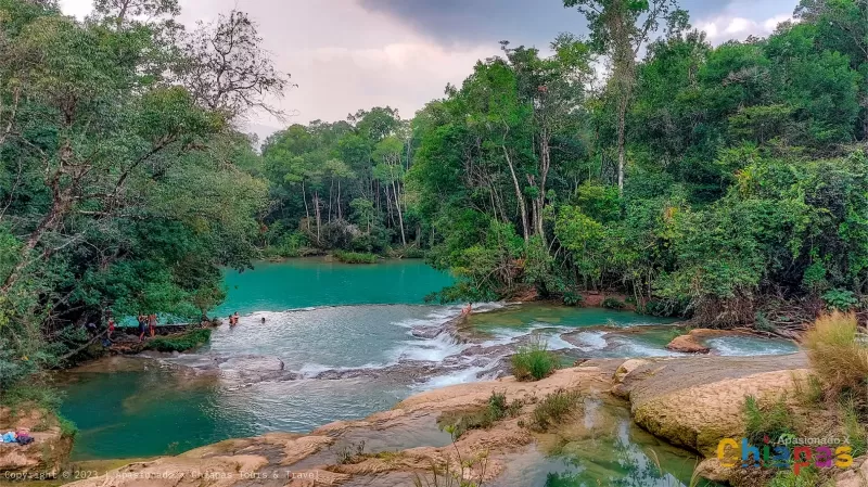 Cascada de Roberto Barrios por palenque