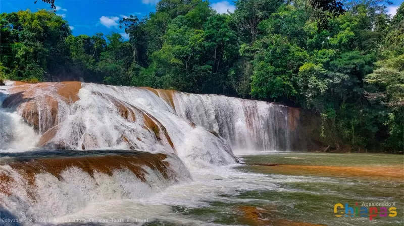 Cascadas de agua azul por Apasionado x Chiapas