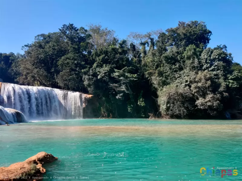 Cascadas de agua azul en palenque