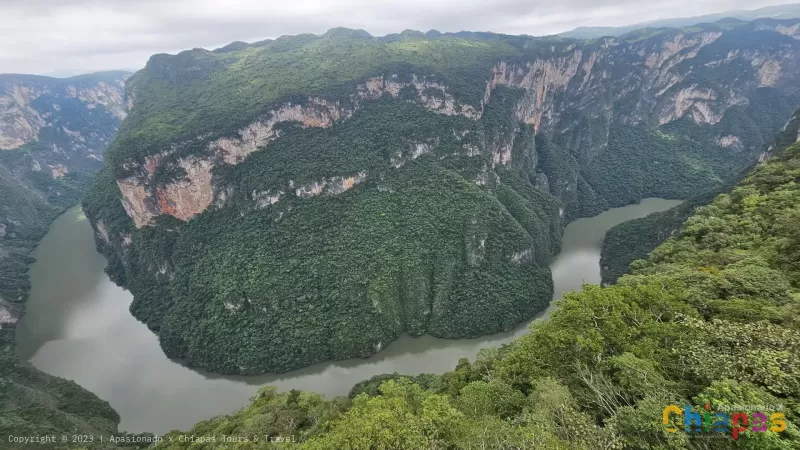 Explorando la Riqueza Natural de Chiapas: El Cañón del Sumidero