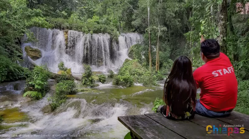 cascada en la selva lacandona