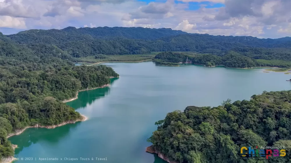 Discovering Peace in the Metzabok Lagoon