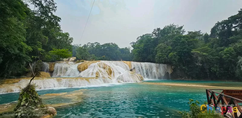 Todo lo que Debes Saber Antes de Visitar las Cascadas de Agua Azul, Chiapas