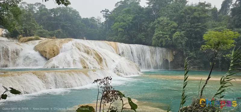 Cascadas de Agua Azul y Otros Tesoros Naturales de Chiapas