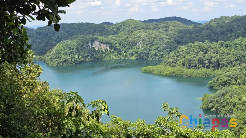 Descubre Metzabok: Un Refugio de Paz en Chiapas