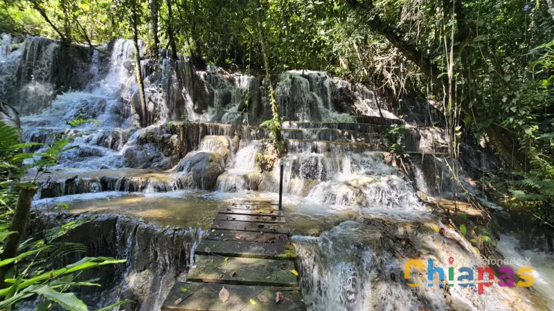 Un tesoro escondido en la Selva Lacandona