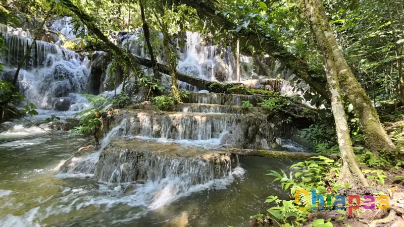 Bonampak - Corcho Negro y Caminata en la Selva Lacandona