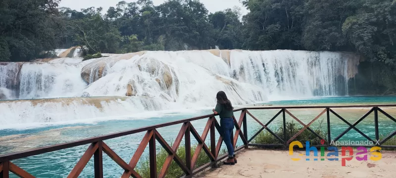 Visita las Cascadas de Agua Azul: Consejos, Precios y Mejores Épocas del Año