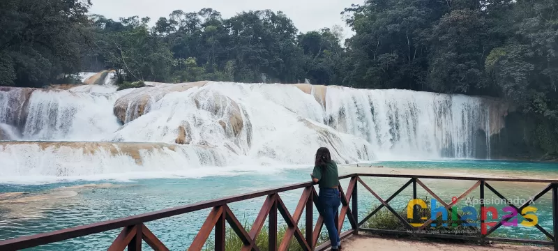 Cómo Llegar a las Cascadas de Agua Azul: Guía Completa para tu Aventura