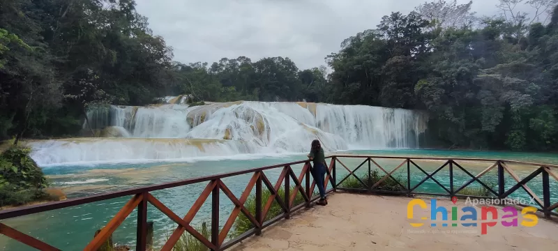 Cascadas de Agua Azul: La Maravilla Natural de Chiapas que Debes Visitar