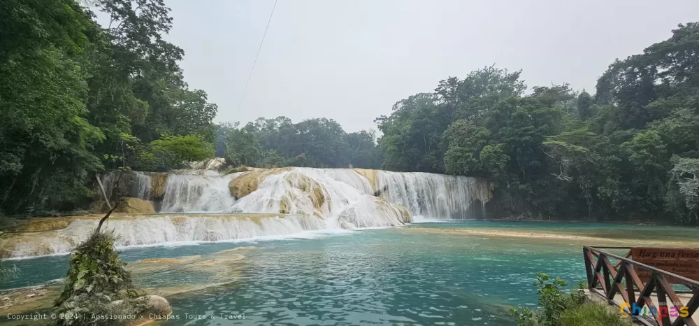 Un Blog sobre Chiapas agua azul