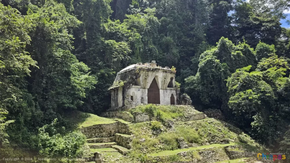 Descubre la Zona Arqueológica de Palenque