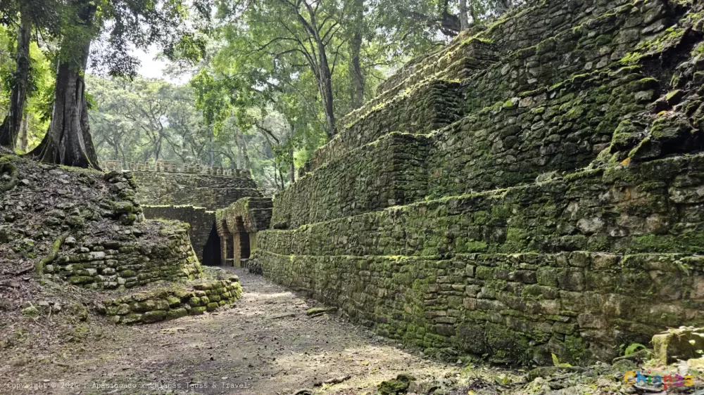 Yaxchilán: Arte y Cultura de la Antigua Maya