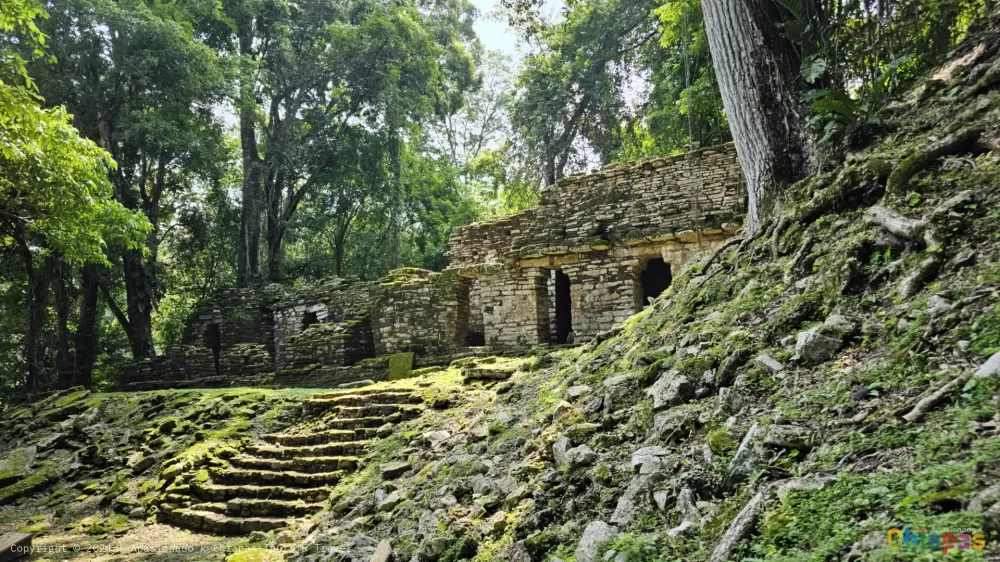 Zona Arqueológica de Yaxchilán en Apasionado x Chiapas Tours & Travel Zona Arqueológica de Yaxchilán en Apasionado x Chiapas Tours & Travel