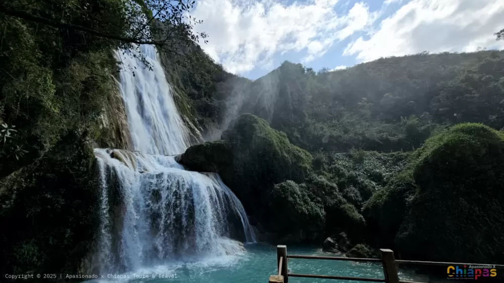 Chiflon en Apasionado x Chiapas Tours & Travel Chiflon en Apasionado x Chiapas Tours & Travel