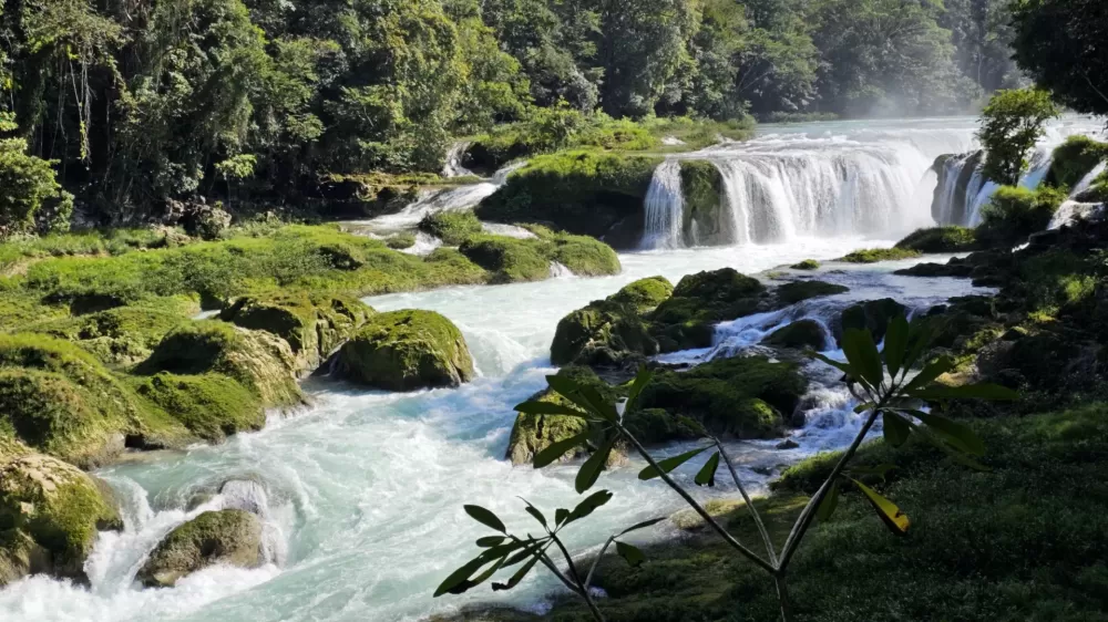 Cascadas Las Nubes: Un Paraíso Secreto entre las Nubes