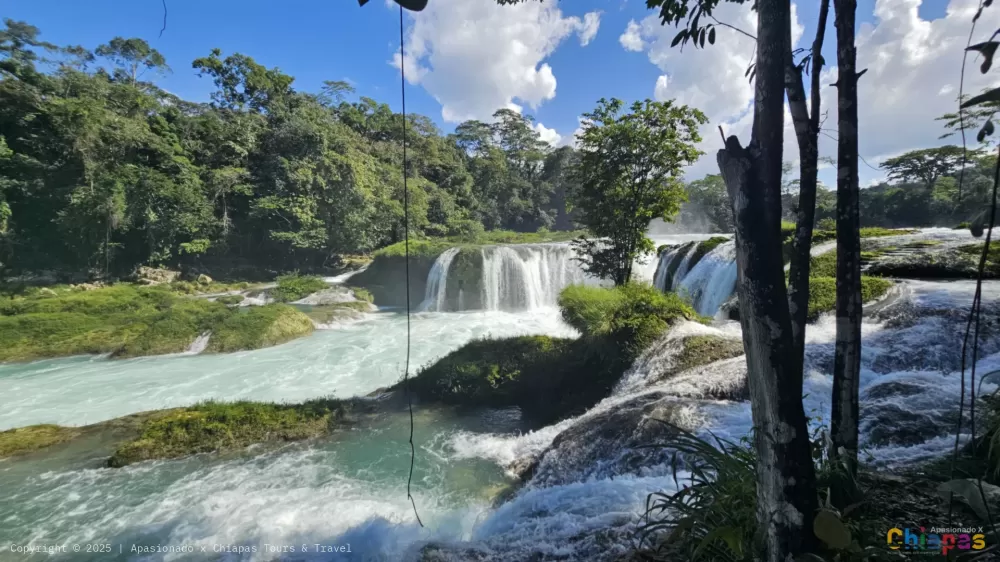 Centro Ecoturístico Las Nubes en Apasionado x Chiapas Tours & Travel Centro Ecoturístico Las Nubes en Apasionado x Chiapas Tours & Travel