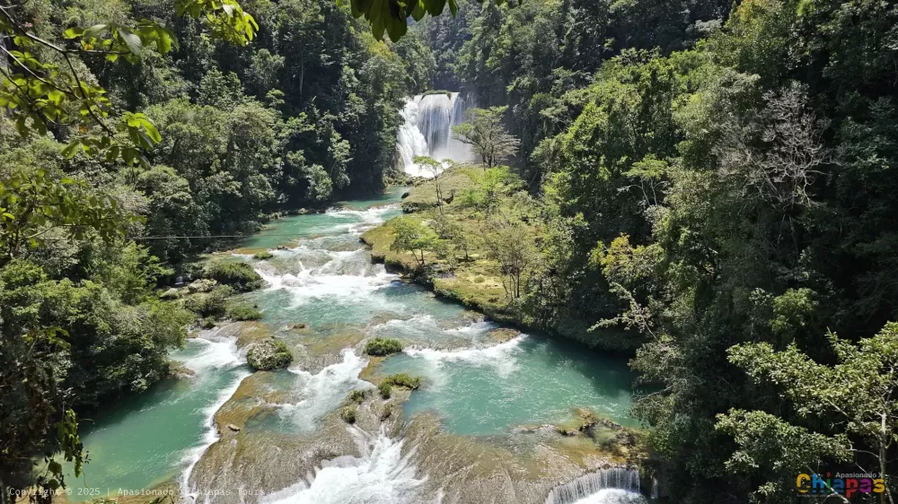Cascada el salto en Apasionado x Chiapas Tours & Travel Cascada el salto en Apasionado x Chiapas Tours & Travel