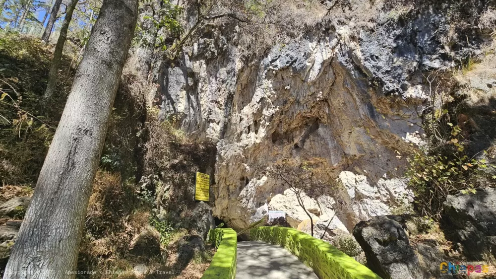 Grutas de Rancho nuevo en Apasionado x Chiapas Tours & Travel Grutas de Rancho nuevo en Apasionado x Chiapas Tours & Travel