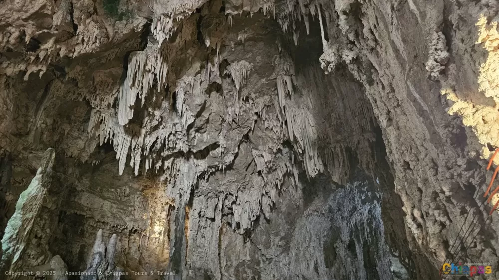 Grutas de Rancho nuevo en Apasionado x Chiapas Tours & Travel Grutas de Rancho nuevo en Apasionado x Chiapas Tours & Travel