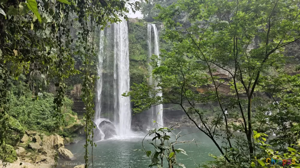 Cascada de Misol-Ha en Apasionado x Chiapas Tours & Travel Cascada de Misol-Ha en Apasionado x Chiapas Tours & Travel