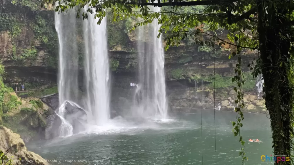 Cascada de Misol-Ha en Apasionado x Chiapas Tours & Travel Cascada de Misol-Ha en Apasionado x Chiapas Tours & Travel
