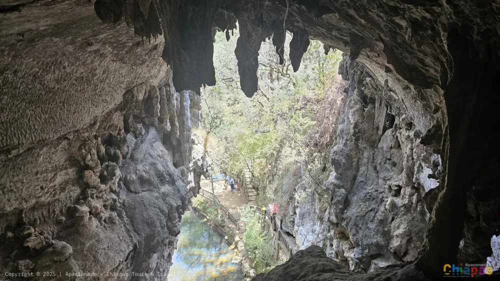 Arcotete en Apasionado x Chiapas Tours & Travel Arcotete en Apasionado x Chiapas Tours & Travel