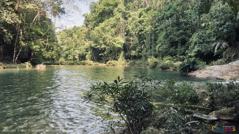 Cascadas Welib ja en Apasionado x Chiapas Tours & Travel Cascadas Welib ja en Apasionado x Chiapas Tours & Travel