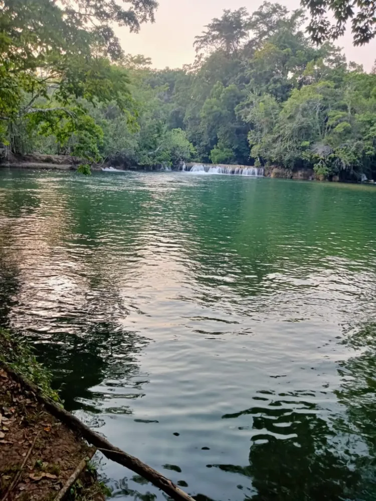 Selva Lacandona en Apasionado x Chiapas Tours & Travel Selva Lacandona en Apasionado x Chiapas Tours & Travel