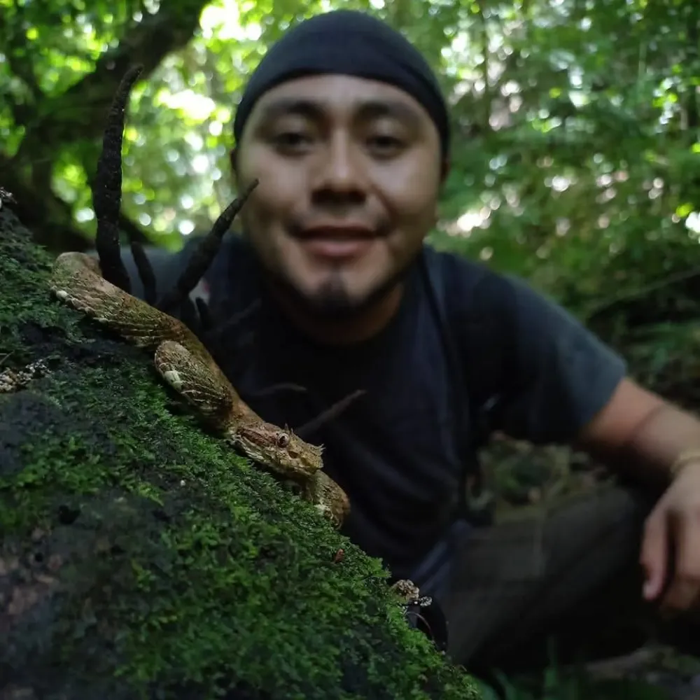 Selva Lacandona en Apasionado x Chiapas Tours & Travel Selva Lacandona en Apasionado x Chiapas Tours & Travel