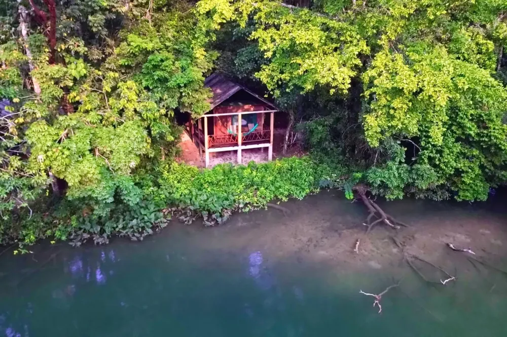 Selva Lacandona en Apasionado x Chiapas Tours & Travel Selva Lacandona en Apasionado x Chiapas Tours & Travel