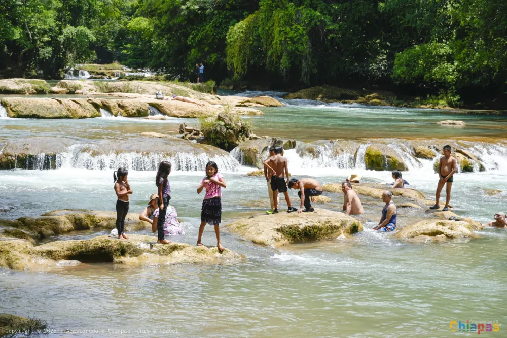 Cascadas de agua azul en Apasionado x Chiapas Tours & Travel Cascadas de agua azul en Apasionado x Chiapas Tours & Travel