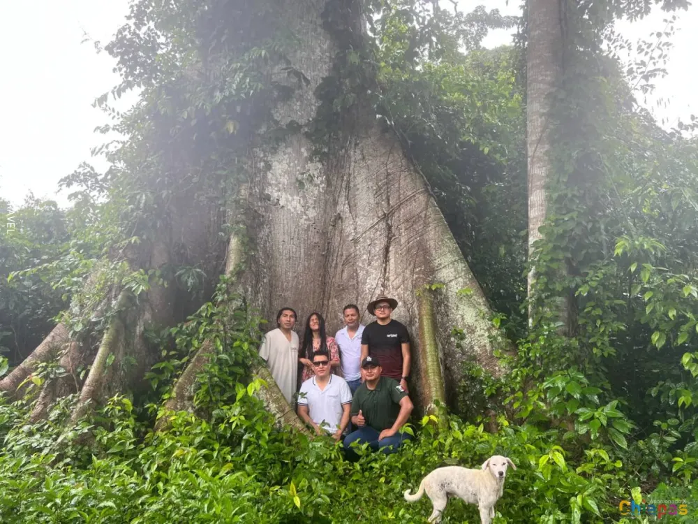 Selva Lacandona en Apasionado x Chiapas Tours & Travel Selva Lacandona en Apasionado x Chiapas Tours & Travel