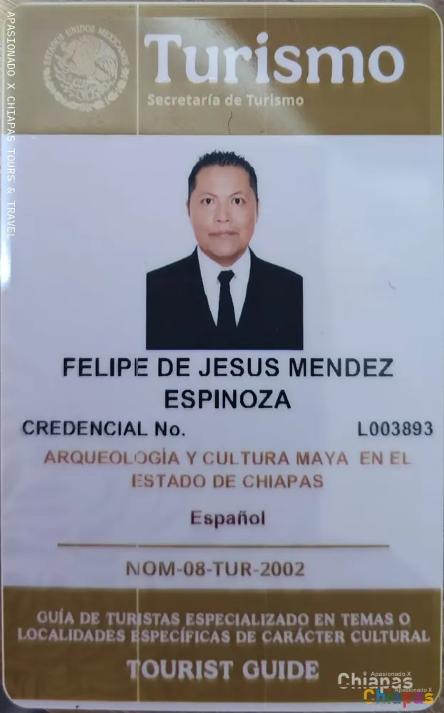 Felipe Méndez Espinoza Guia de Turista con Licencia