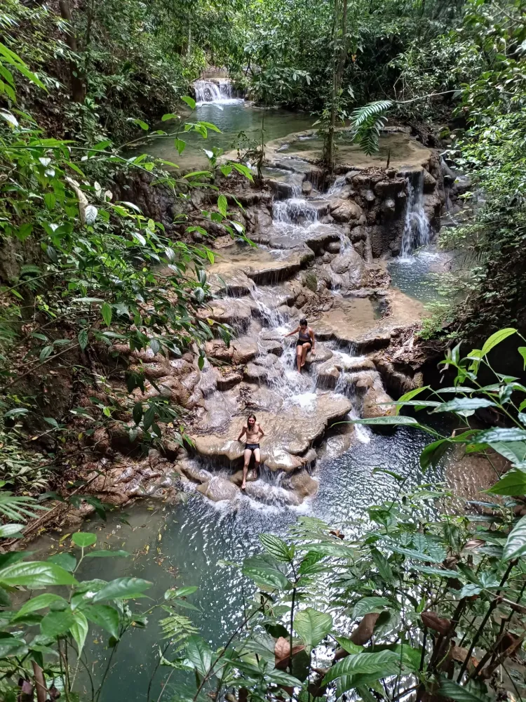 El corcho en Tour a la Cascada Corcho Negro