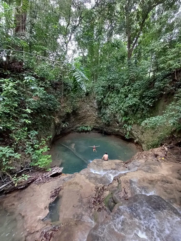 El corcho en Tour a la Cascada Corcho Negro