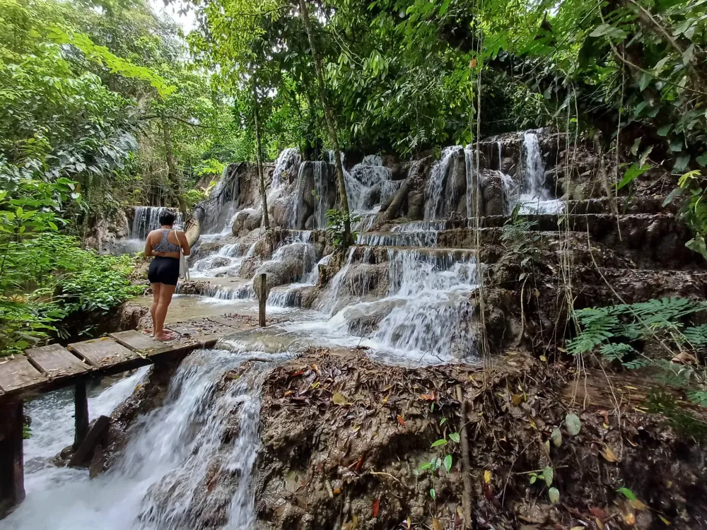 El corcho en Tour a la Cascada Corcho Negro