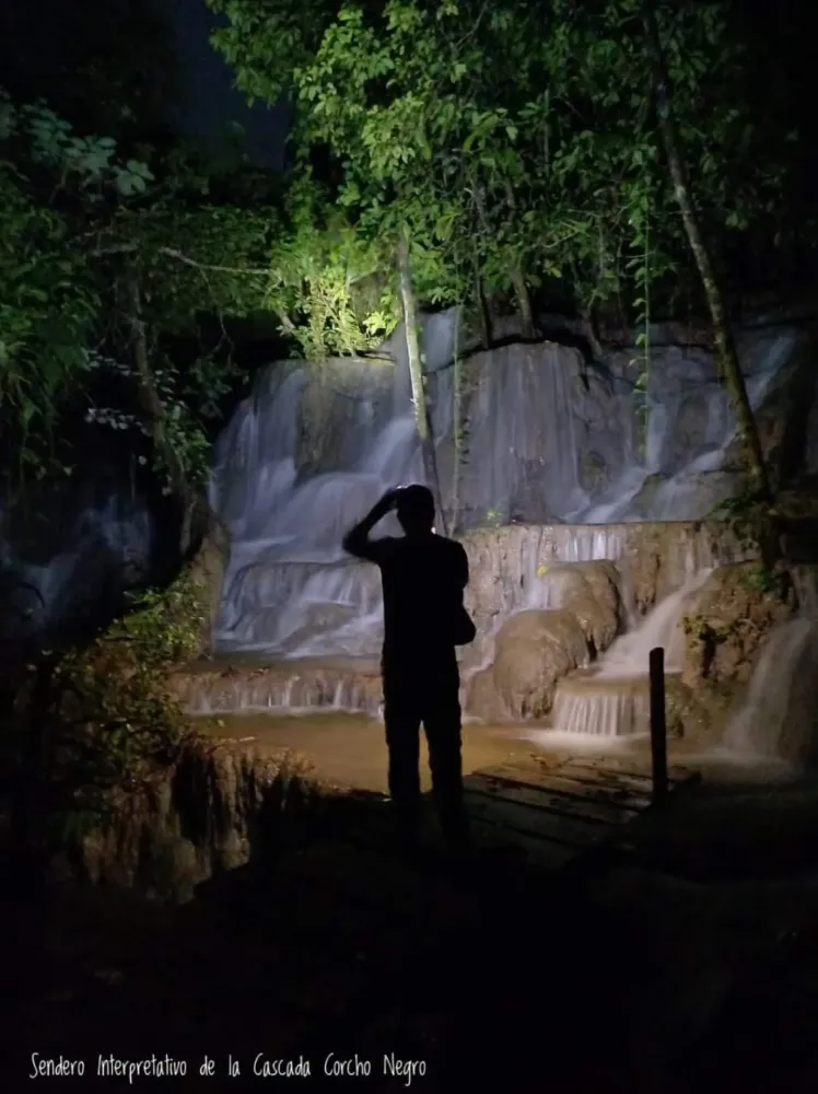 Nocturno en Vida Nocturna en la Selva Lacandona