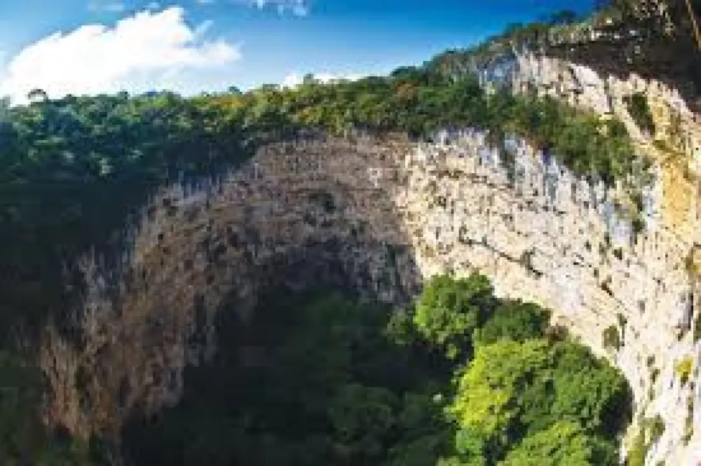 La sima de las cotorras y su ecosistema