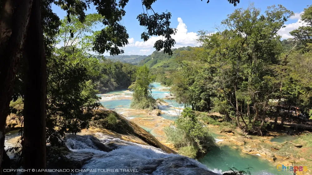 Cascadas de Agua Azul: Descubre el Paraíso Natural en México en San Cristóbal